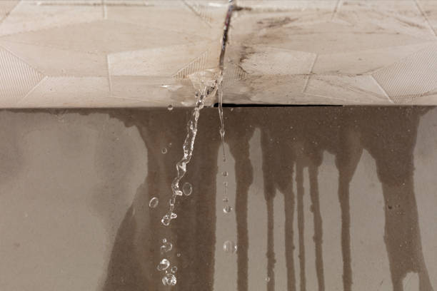 Professional Burst Pipe Cleanup technician working in Rogers, MN